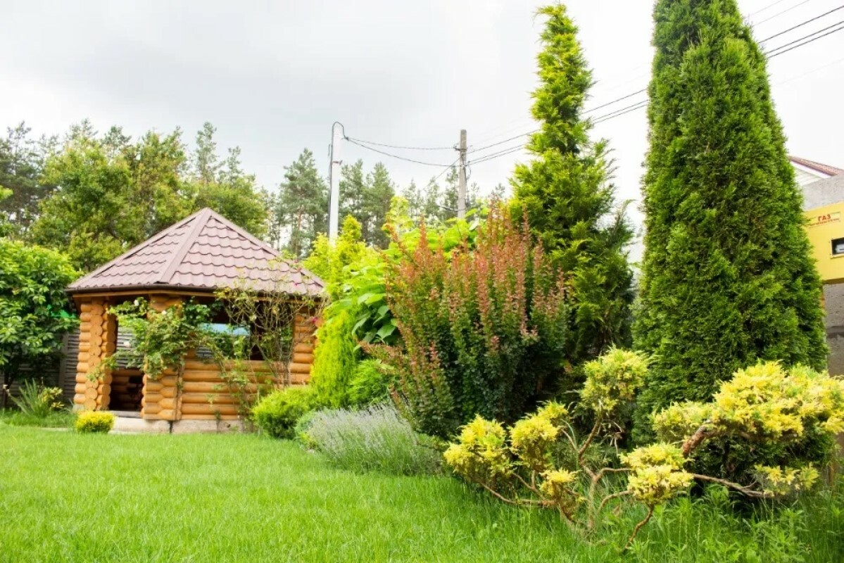https://volgograd.tgv-stroy.ru/storage/app/uploads/public/637/ef4/fb3/637ef4fb3605f391429275.png
